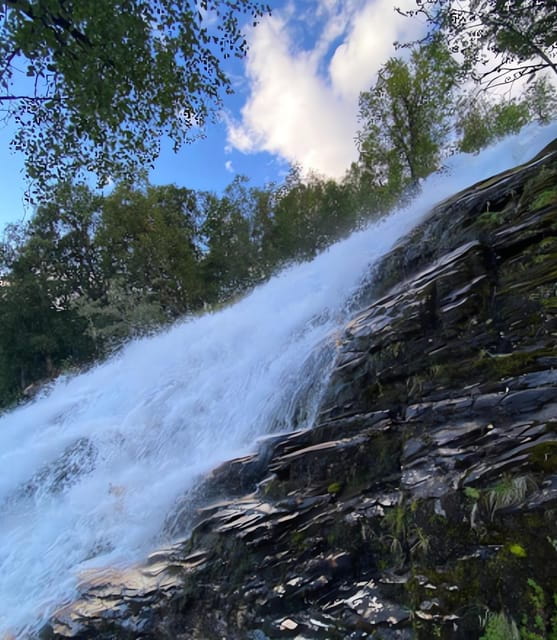 Visit Bubbelen, river comes out of the ground. - Unpacking the Bubbelen Experience: What to Expect