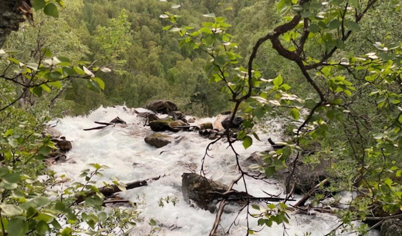 Visit Bubbelen, river comes out of the ground. - Price and Logistics: Is It Worth It?