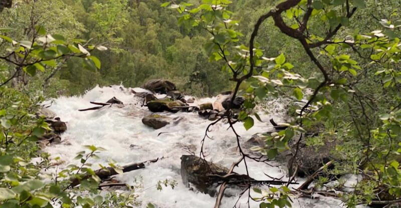 Visit Bubbelen, river comes out of the ground. - Final Thoughts: Should You Book?