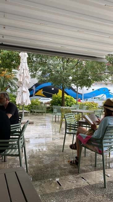 visit Budva, Kotor and Tivat ( 3 in 1 ) - Exploring the Coastal Gems of Montenegro in One Day