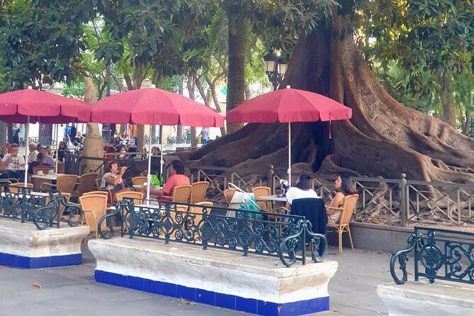 Visit Cádiz as if You Lived There - Walking Through Cádiz: A Detailed Look at the Tour