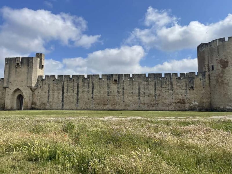 Visit Camargue and Espiguette Lighthouse from Montpellier - Key Points / Takeaways