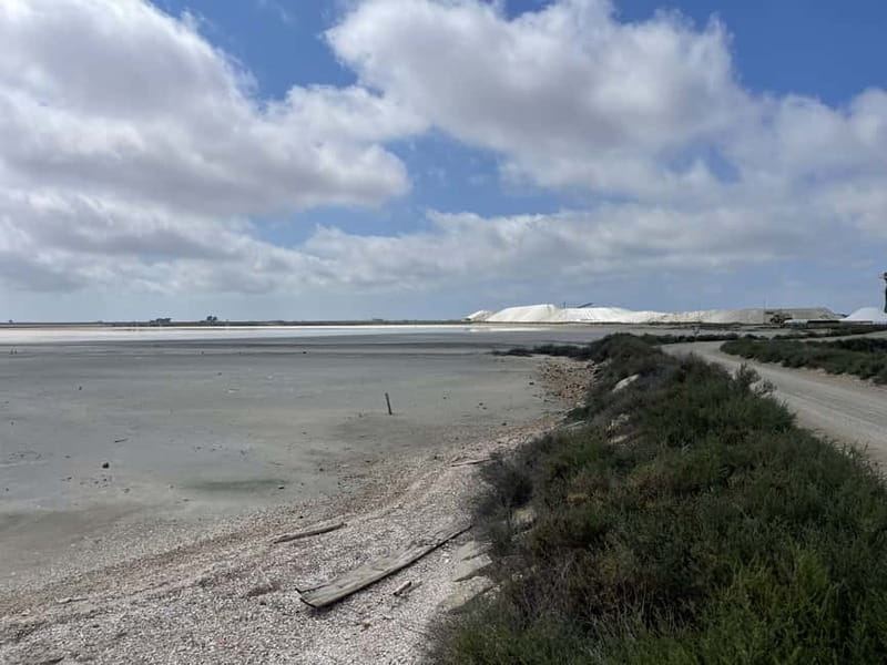 Visit Camargue and Espiguette Lighthouse from Montpellier - A Complete Look at the Camargue from Montpellier