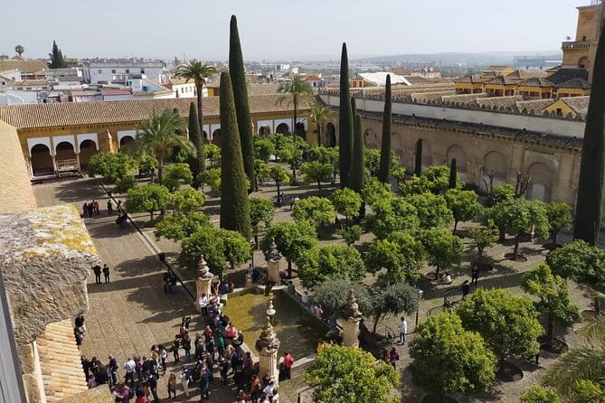 Visit Cathedral Mosque of Córdoba - Who Will Love This Tour?