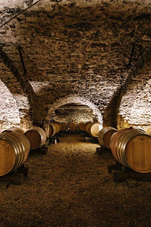 Visit : Château du Moulin-à-Vent, a History of Terroirs! - The Experience Itself: What to Expect