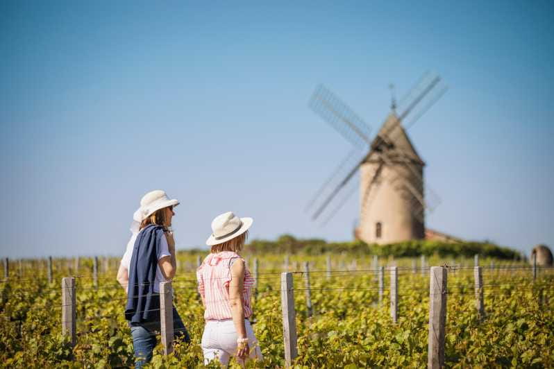 Visit : Château du Moulin-à-Vent, a History of Terroirs! - Final Thoughts