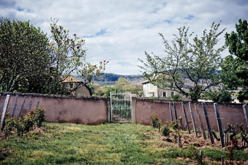 Visit : Château du Moulin-à-Vent, where time is an ally - Practical Details and Overall Experience