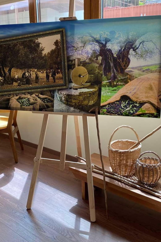 Visit Knossos and the Valley of Zeus - Final Thoughts: A Well-Balanced Introduction to Crete