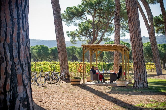 Visit La Joya Escondida de la Ribera del Duero Winery - FAQs