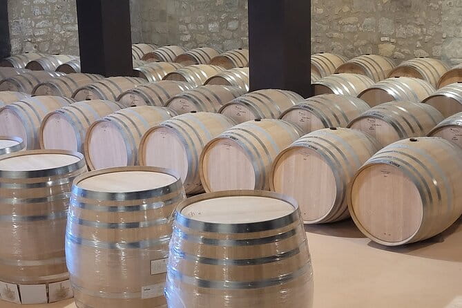 Visit of Marques de Riscal & Boutique Winery from Bilbao - Final thoughts