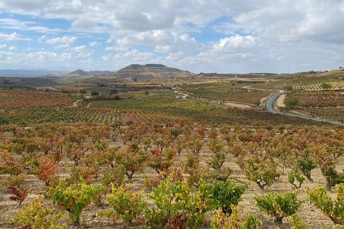 Visit of Marques de Riscal & Boutique Winery from Bilbao - FAQ