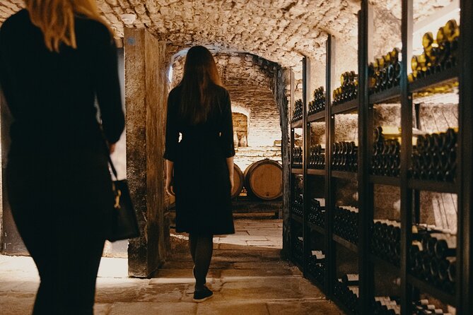 Visit of Our 15TH Century Cellars - Highlights of the Wine Tasting