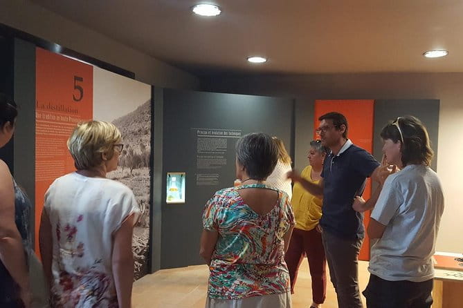 Visit of the Artemisia museum - Who Will Love This Experience?