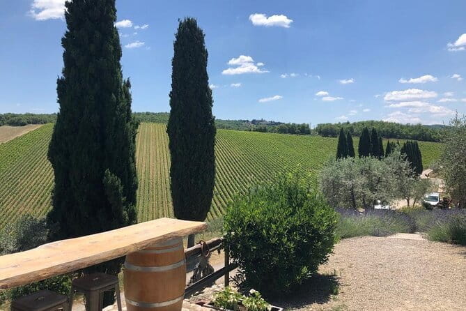 Visit Of The Chianti Classico And The Tuscan Countryside - Key points / Takeaways