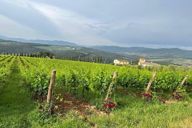 Visit Of The Chianti Classico And The Tuscan Countryside - Discovering Tuscany’s Best: A Deep Dive into the Itinerary