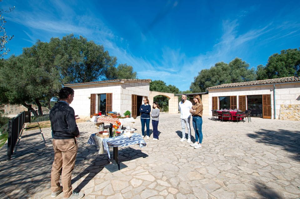 Visit of the Olive Grove, Olive Oil Tasting and Snack - Booking Your Experience
