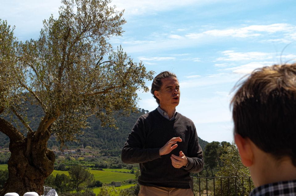 Visit of the Olive Grove, Olive Oil Tasting and Snack - Highlights of the Tour