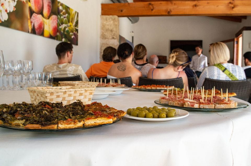 Visit of the Olive Grove, Olive Oil Tasting and Snack - What to Expect