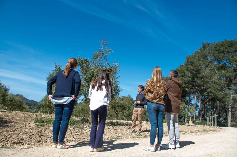 Visit of the Olive Grove, Olive Oil Tasting and Snack - Suitable Age Groups