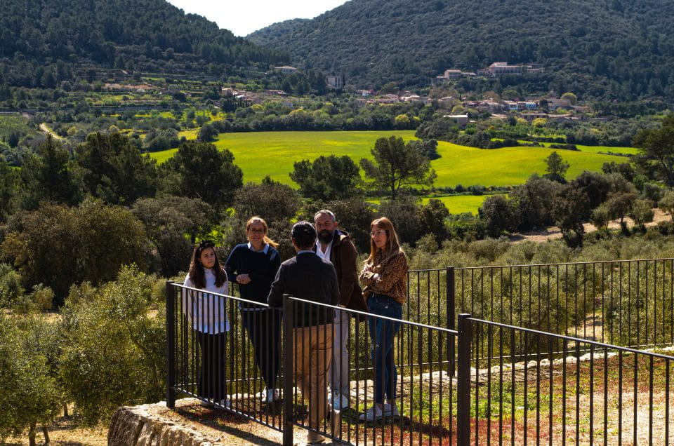 Visit of the Olive Grove, Olive Oil Tasting and Snack - Customer Feedback