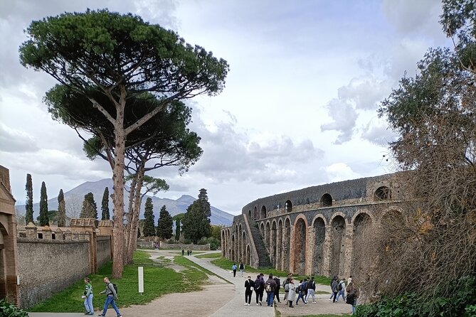 Visit Pompeii Sorrento Positano From Naples - Key Points