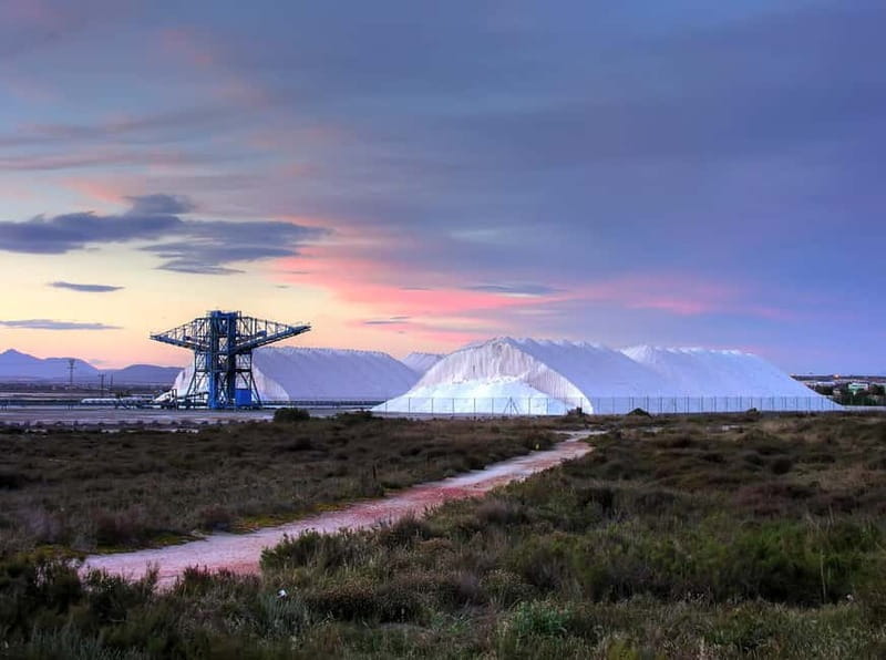 Visit Santa Pola and its lighthouse from Alicante with a snack, small groups. - Final Thoughts