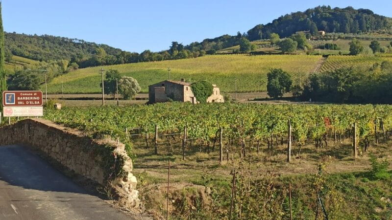 Visit Siena and San Gimignano with lunch at a family farm - Who Will Love This Tour?