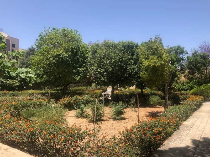 Visit Tarxien Temples, Kalanka Bay, Blue Grotto, Marsaxlokk - Discovering Malta’s Hidden Treasures: An Honest Review