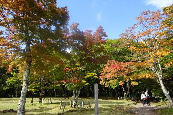 Visit the Amazing Views and Power Spots of ... - Tour Inclusions and Charges