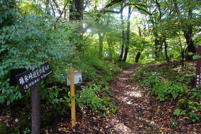 Visit the Amazing Views and Power Spots of ... - Accessibility and Participation