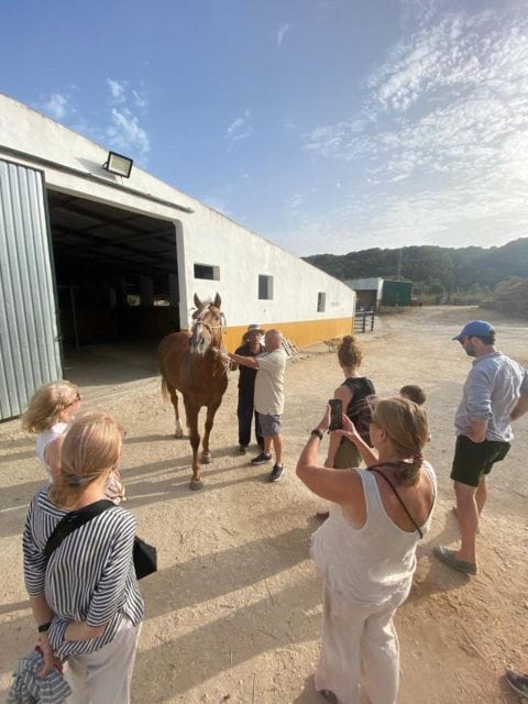 Visit the Angostura Stud Farm + Wine - Tour Duration and Pricing