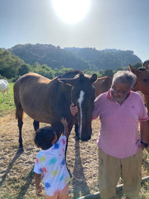 Visit the Angostura Stud Farm + Wine - Visitor Recommendations