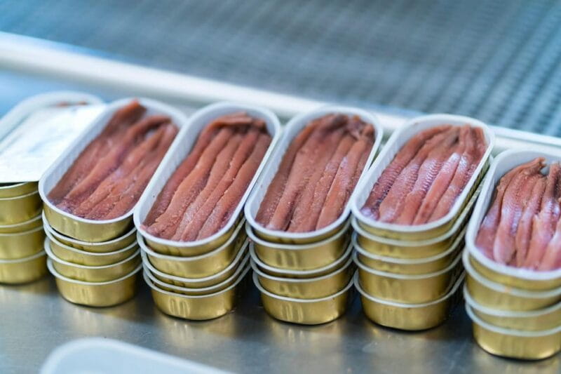 Visit the factory of the Best Anchovies, Santoña, personalized in Spanish - Key points / Takeaways