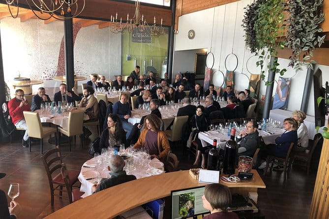 Visit the Marchesi de Cordano winery and taste its wines - Entering the Winery and What to Expect