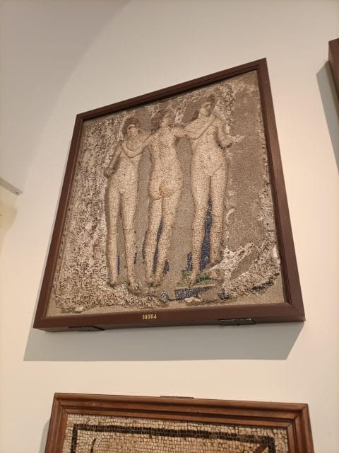 Visit the Museum MANN with a professional guide - Key Points / Takeaways