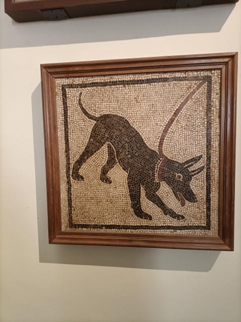 Visit the Museum MANN with a professional guide - An In-Depth Look at the Museum MANN Guided Tour