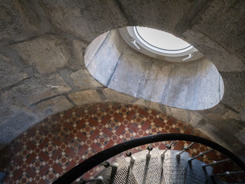 Visit the Palos Faro - Experience and Highlights