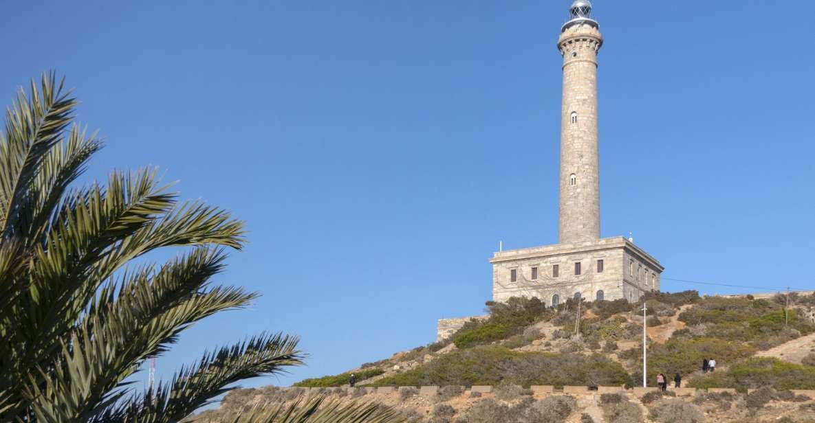 Visit the Palos Faro - Guide and Customer Reviews