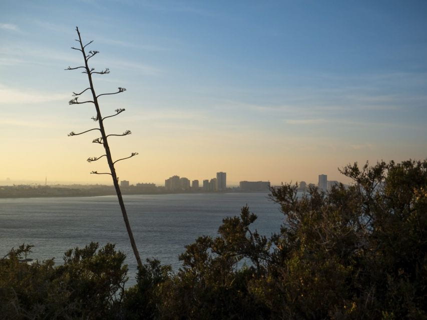 Visit the Palos Faro - Local Gastronomy After the Tour