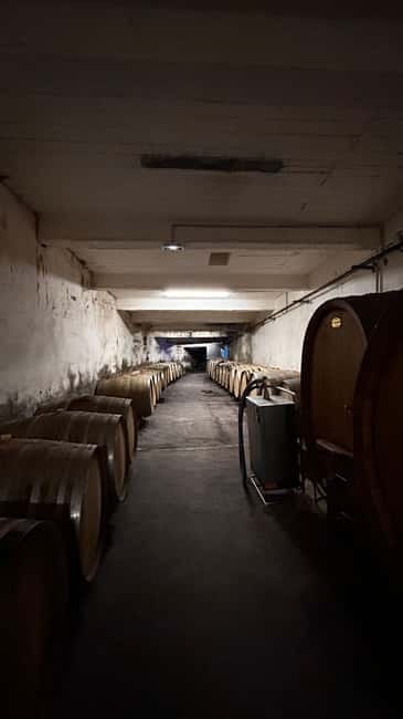 Visit the winery and taste the estate's wines - Entering the World of Domaine Riberach