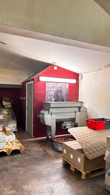 Visit the winery and taste the estate's wines - Tasting the Wines: A Curated Selection