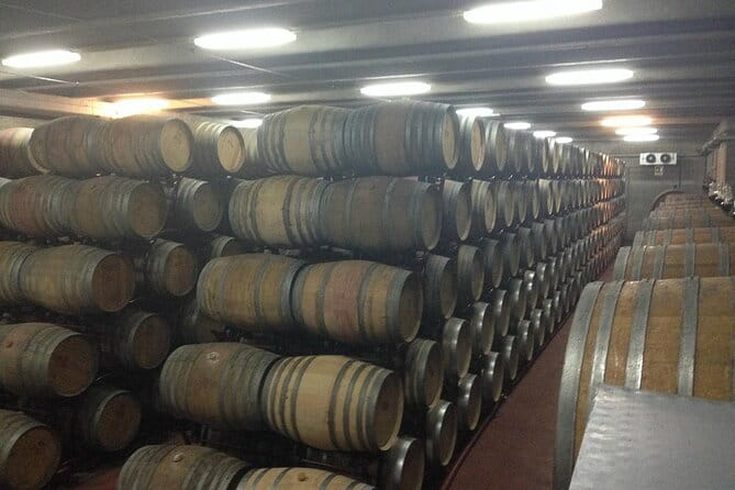 Visit to a Winery in Salento with Wine tasting and light lunch. From Lecce - Key Points