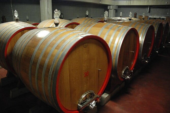 Visit to a Winery in Salento with Wine tasting and light lunch. From Lecce - The Details of the Itinerary