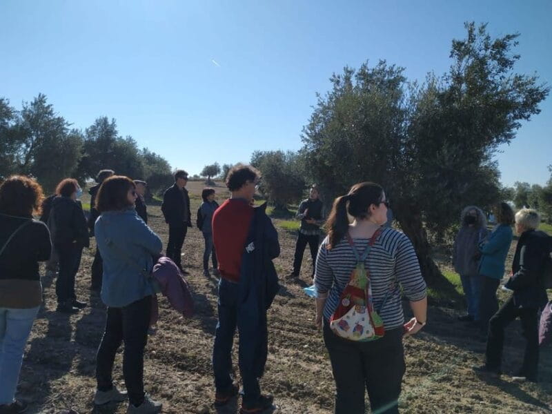 Visit to an olive oil mill and oil tasting with aperitif and food and wine pairing. - Discovering the Heart of Spanish Olive Oil: A Tour at La Aceitera de la Abuela