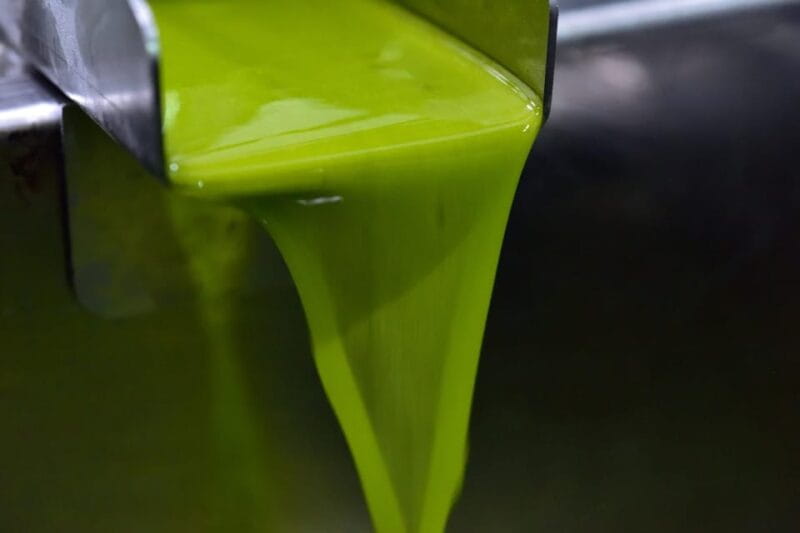 Visit to an olive oil mill and oil tasting with aperitif and food and wine pairing. - Final Thoughts