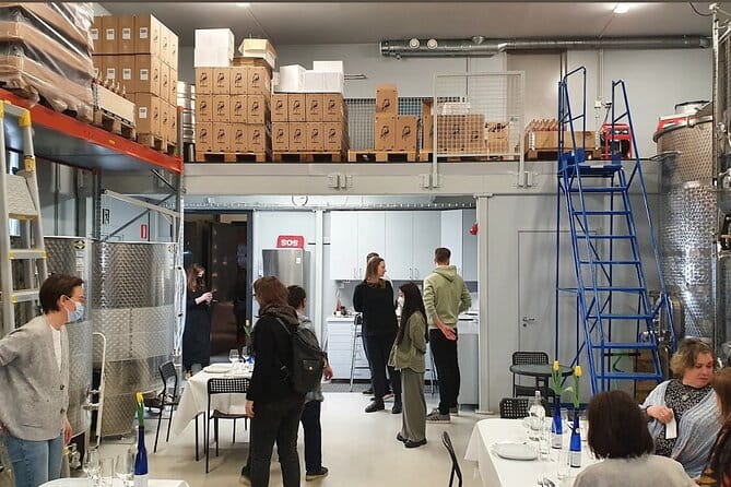 Visit to Authentic Finnish Berry Winery, Tasting Included - Who Will Love This Tour?