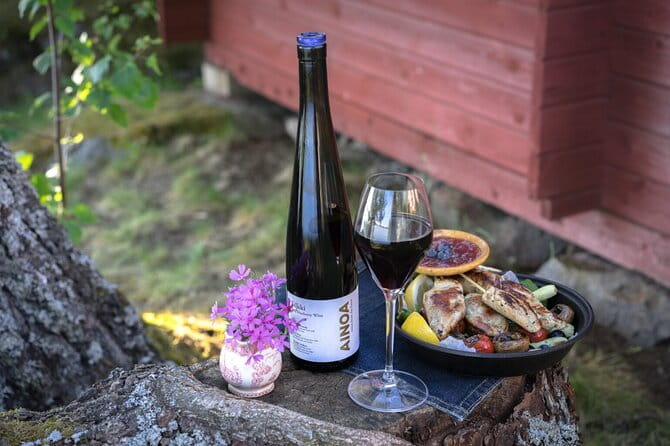 Visit to Authentic Finnish Berry Winery, Tasting Included - Who Should Consider This Tour?