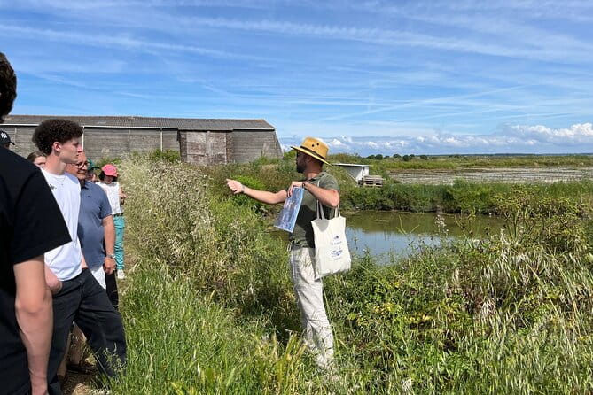 Visit to Saline - Guérande Salt Marshes - A Detailed Look at the Guérande Salt Marshes Tour