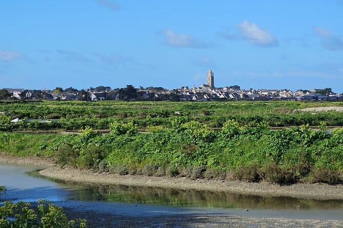 Visit to Saline - Guérande Salt Marshes - Who Will Love This Tour?