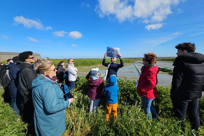 Visit to Saline - Guérande Salt Marshes - FAQ